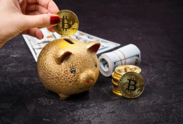 hardware crypto wallets - SocialMirror